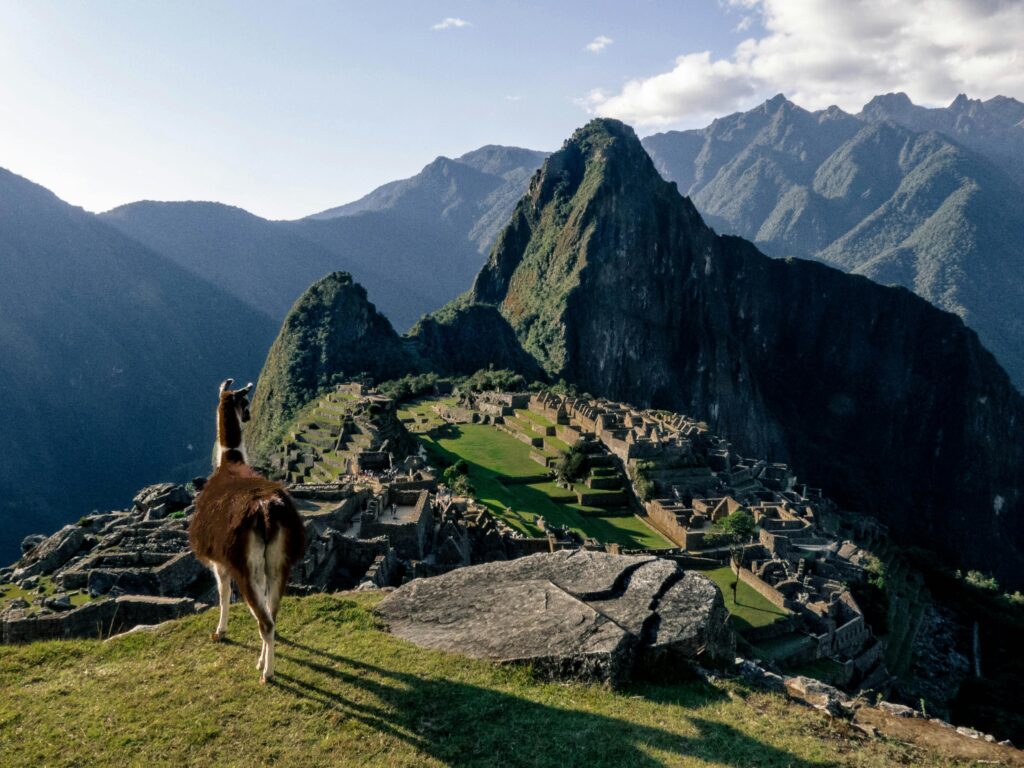 A llama gazes over the ancient ruins of Machu Picchu with stunning mountain views in Peru.