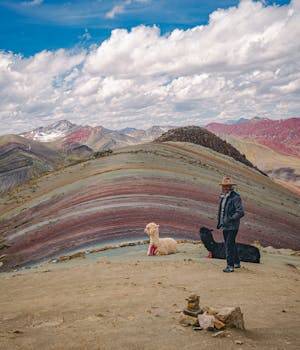 彩虹山健行途中的駝 Llamas along the Rainbow Mountain hiking trail in Peru