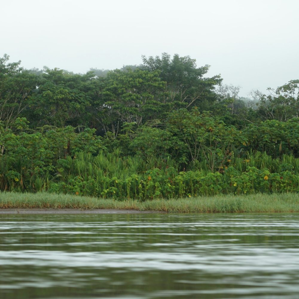 akshay-chauhan-w0jngy6EK3U-unsplash