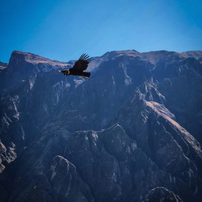 franco-martin-borrelli-Iws8W2_ZbEU-unsplash