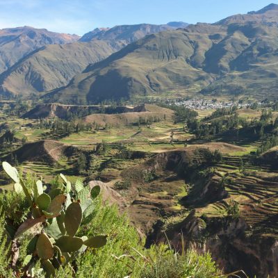 hongbin-OY3yEkqHWsQ-unsplash