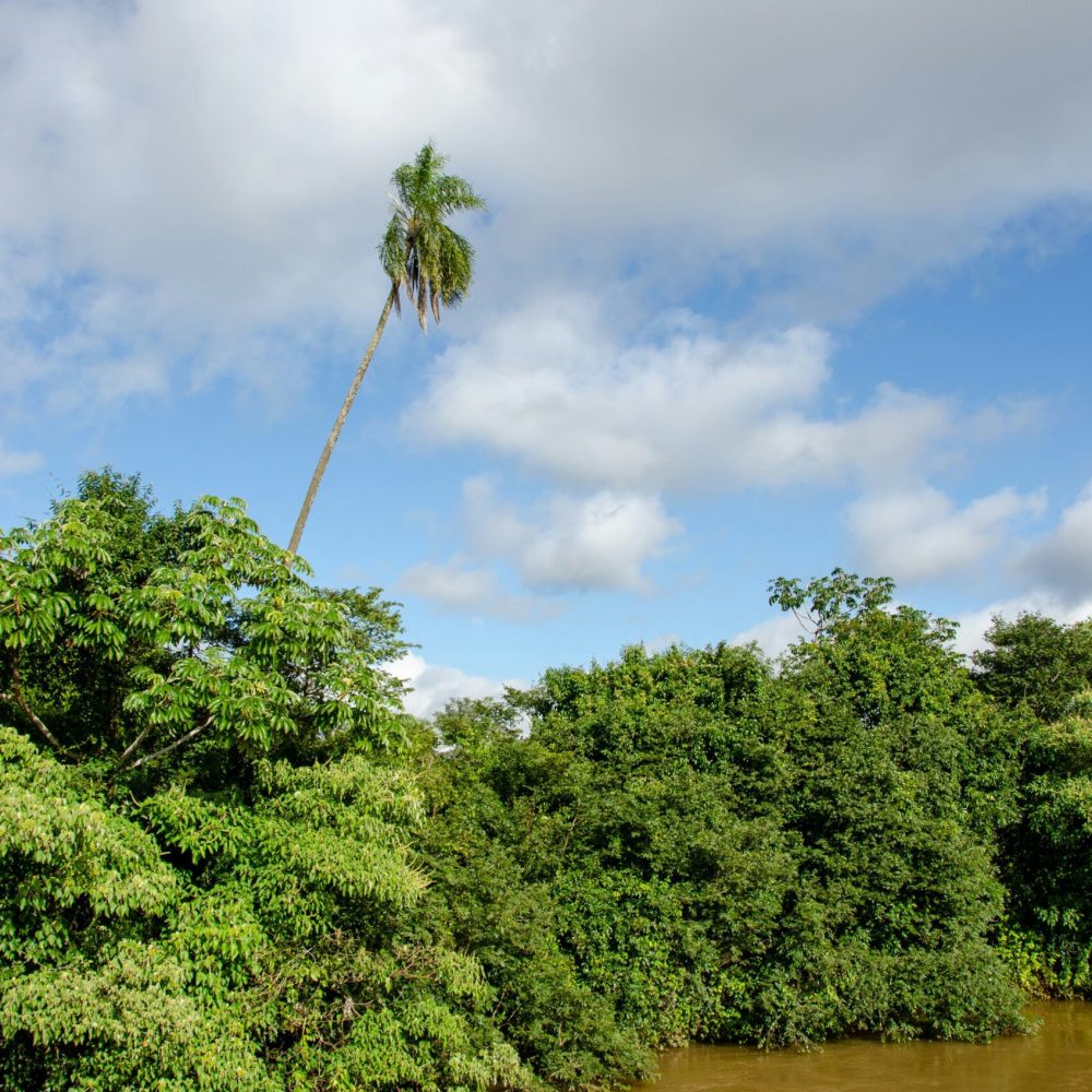 nadine-marfurt-O_2VPvzGQSs-unsplash