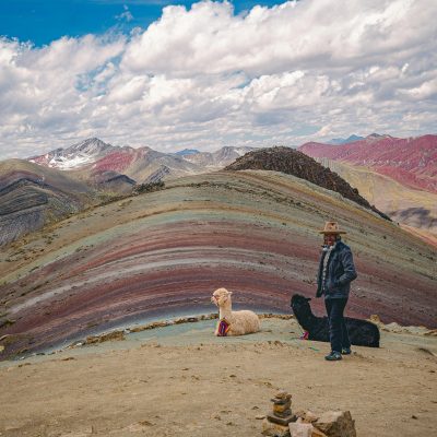 彩虹山健行途中的駝 Llamas along the Rainbow Mountain hiking trail in Peru