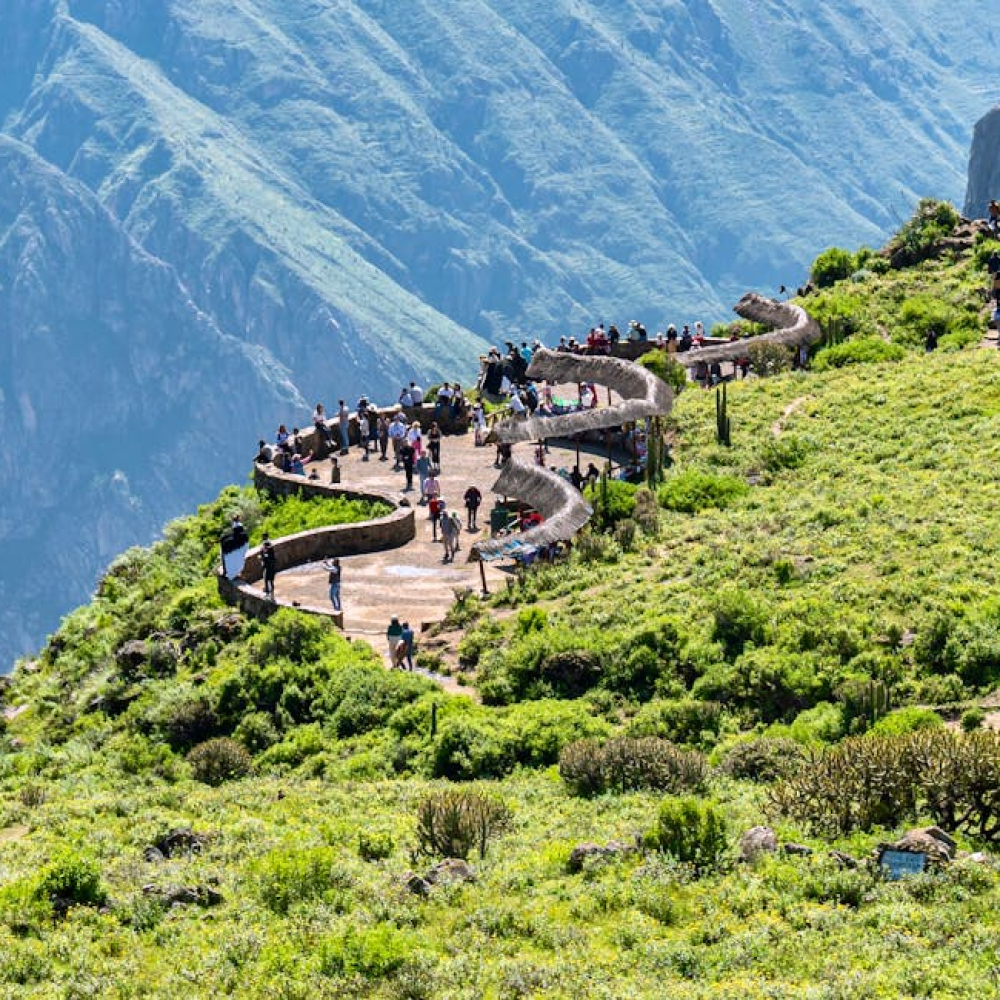 pexels photo 26984841 26984841.webp