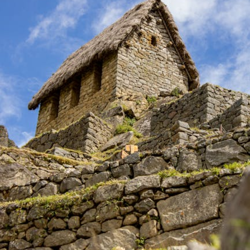 pexels photo 33341545 33341545 1.webp