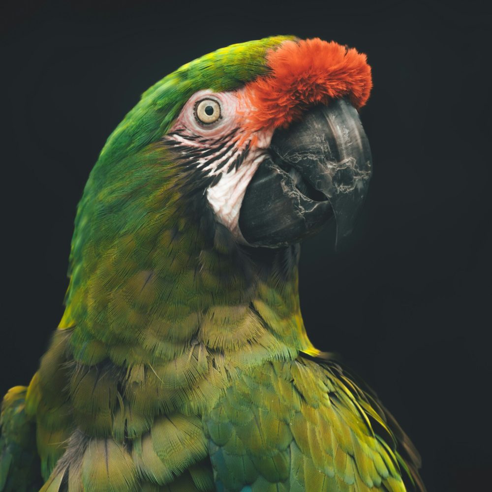 rob-potter-EMGJhaFHK6Y-unsplash